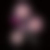 Gvibe Geisha balls Magnetic - Мощный магнитный тренажер Кегеля, 2х27 г, 2х15 г (розовый с черным)