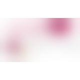 Віброяйце - Lust Love Ball Berry