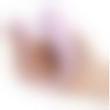 SVAKOM Phoenix Neo 2 Pastel Lilac