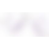 SVAKOM Phoenix Neo 2 Pastel Lilac