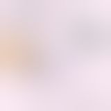 Вібратор в трусики FeelzToys Panty Vibrator Pink з пультом дистанційного керування, 6 режимів роботи
