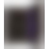 Комп'ютерний вібратор - Rabbit Esquire Purple Vibrator mit Klitorisreizer