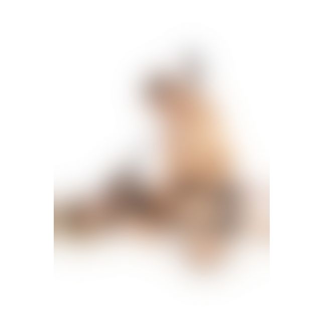 Фиксаторы для ног Fetish Tentation Neck and Ankle Strap (мятая упаковка!!!)