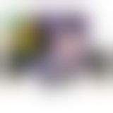 Подарочный набор Shunga GEISHAS SECRETS - Exotic Fruits: для шикарной ночи вдвоем