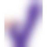 Комп'ютерний вібратор - Rabbit Esquire Purple Vibrator mit Klitorisreizer