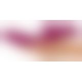 JAVIDA Licking & Thrusting Vibrator