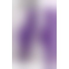 Комп'ютерний вібратор - Rabbit Esquire Purple Vibrator mit Klitorisreizer