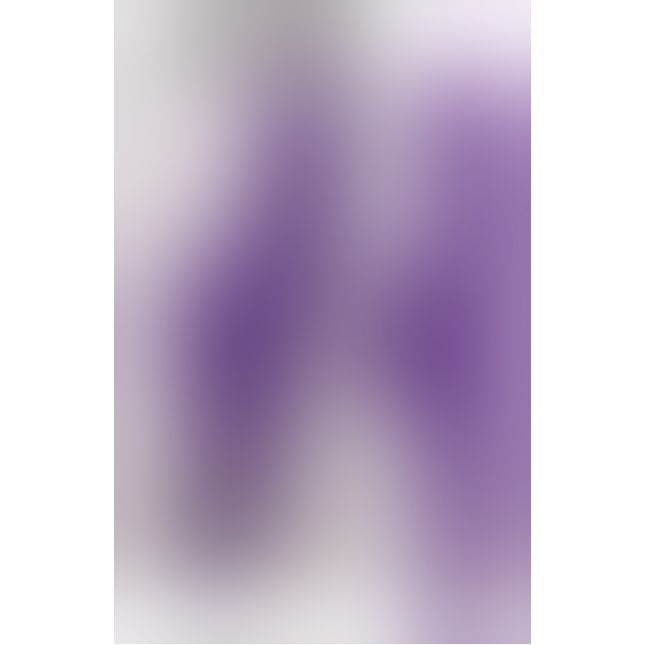 Комп'ютерний вібратор - Rabbit Esquire Purple Vibrator mit Klitorisreizer