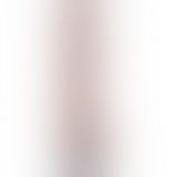 Вібратор - Real Softee Rechargeable Silicone Vibrating Dildo 10.5"