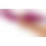 JAVIDA Licking & Thrusting Vibrator