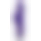 Комп'ютерний вібратор - Rabbit Esquire Purple Vibrator mit Klitorisreizer