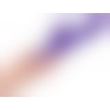 Комп'ютерний вібратор - Rabbit Esquire Purple Vibrator mit Klitorisreizer