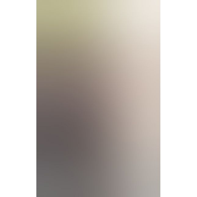 Реалістичний вібратор - The Poolboy Natural Vibrator