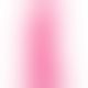 CalExotics Back End Chubby - фалоімітатор на присоску, 14х4, 5 см