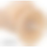 Фаллоимитатор с вибрацией и ротацией Naked ADDICTION James 8″ Rotating & Vibrating Dong, пульт ДУ, д