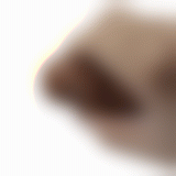 Реалістичний вібратор - Pretty Love Osric Realistic Vibrating Dildo Brown