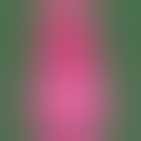 Набір Climax Kit, Neon Pink