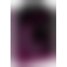 Javida 4 Function Vibrator