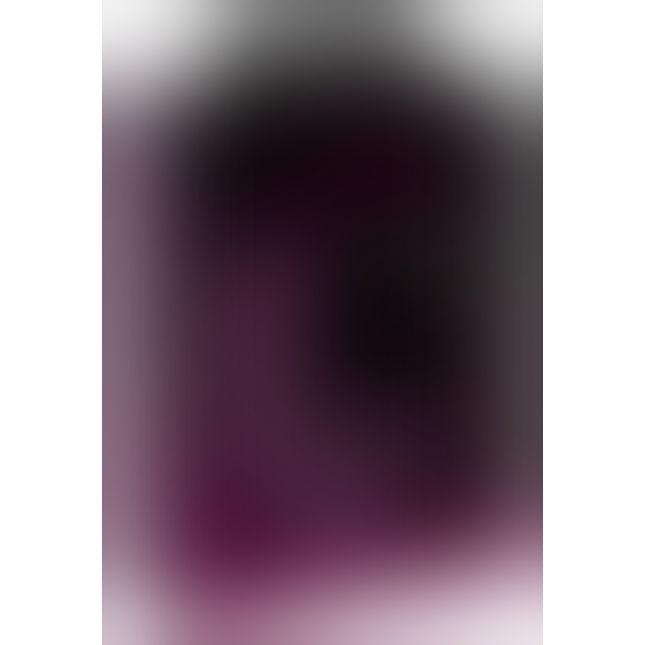 Javida 4 Function Vibrator