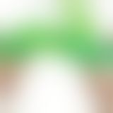 Вібратор - Fun Spot Gigi Green