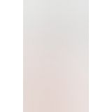 Фалоімітатор Basix 6" Dong, 15х4 см