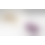 Svakom - Echo Clitoral Stimulator Violet вібромасажер, 8.8х3 см