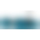 Small Wand blue