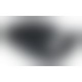 Вакуумный клиторальный стимулятор Womanizer Duo Black