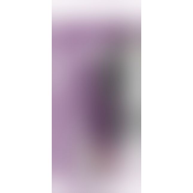 Вібратор - Rabbit Vibrator Petit Purple Вібратор - Rabbit Vibrator Petit Purple