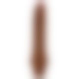 Вібратор - Barbara Dryad Vibrator 9,8" Brown