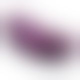 Svakom - Echo Clitoral Stimulator Violet вібромасажер, 8.8х3 см