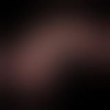 Реалістичний вібратор - Vibrating Dual Density Power Cock 8.5'' Реалістичний вібратор - Vibrating Dual Density Power Cock 8.5''