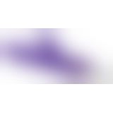 Комп'ютерний вібратор - Rabbit Skater Purple Vibrator mit Klitorisreizer