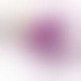 Вібратор LELO Tiani 2 Design Edition