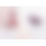 Svakom - Echo Clitoral Stimulator Violet вібромасажер, 8.8х3 см