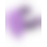 Pipedream Duo Pleasure Wallbang - Her - подвійний вібратор з присоском, 12,7х3, 8 см