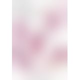 Секс набор - Sweet Smile Couple's Toy Set (7 предметов)