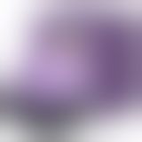 Вакуумний стимулятор з вібрацією KisToy Miss KK Purple