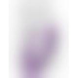 Pipedream Duo Pleasure Wallbang - Her - подвійний вібратор з присоском, 12,7х3, 8 см