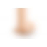 Brazzers - реалистичный фаллоимитатор на присоске, 14,5х3.5 см