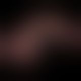 Реалістичний вібратор - Vibrating Dual Density Power Cock 9'' Реалістичний вібратор - Vibrating Dual Density Power Cock 9''