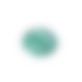 Вибратор для пар FairyGasm PleasureBerry green, зарядный кейс, пульт ДУ