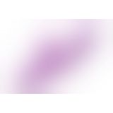 Shegasm Pro - Thrust Thrusting Suction Rabbit - вібратор-кролик з вакуумним стимулятором клітора, 22.8х3.7 см