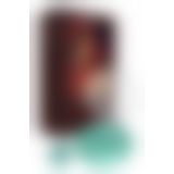 Вибратор для пар FairyGasm PleasureBerry green, зарядный кейс, пульт ДУ