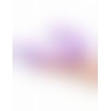 Pipedream Duo Pleasure Wallbang - Her - подвійний вібратор з присоском, 12,7х3, 8 см