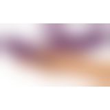 JAVIDA 2 Function Rabbit Vibrator