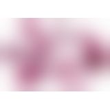 Секс набор - Sweet Smile Couple's Toy Set (7 предметов)