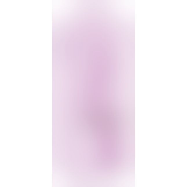 Fabulous Vibrator Purple