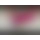 Вібратор з підігріванням Leten Female Vibrator (AAA 3.0V)