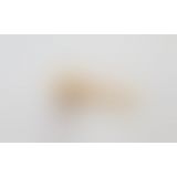 Naked Addiction 7 Rot.&Vibr. RC Dong Vanill